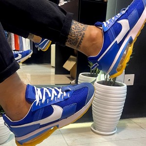 کفش کتانی مردانه نایک آبی