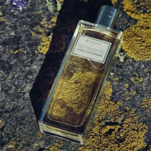 ادوتویلت مردانه کول لاوندر-155211