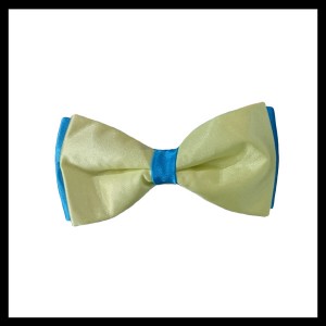 پاپیون کد 28