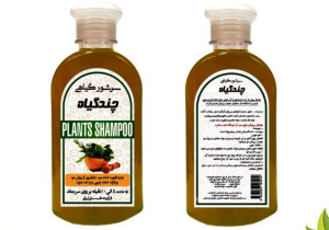 شامپو گیاهی چند گیاه ( 250 گرمی )