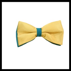 پاپیون کد 29